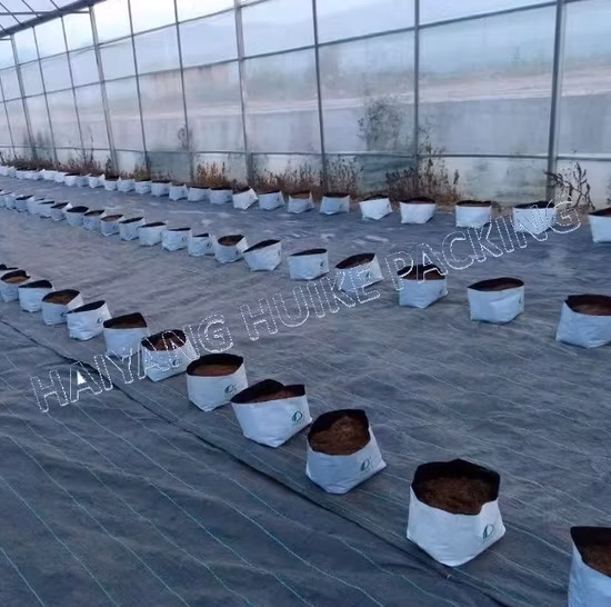 Sacos de plantação anti-UV 1/8-45 galões Saco de jardim poli/saco PP/sacos de cultivo para tomates, frutas